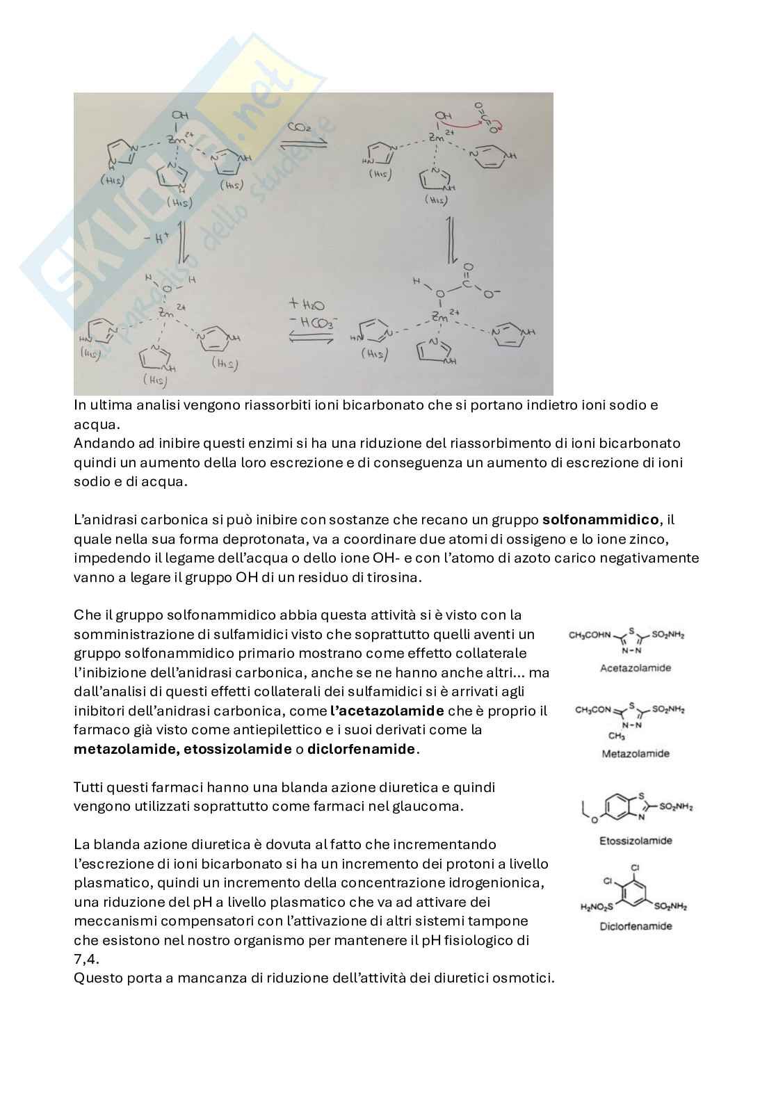 Apputi esame lezioni 24-28 su 33 di Chimica farmaceutica e tossicologica 2  Pag. 6