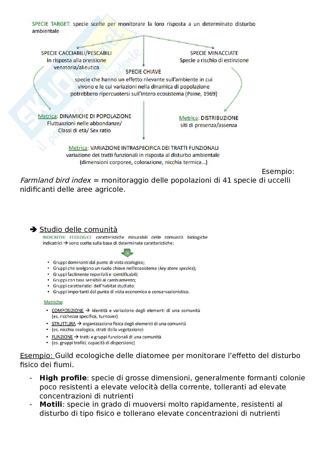 Modulo Conservazione Pag. 26