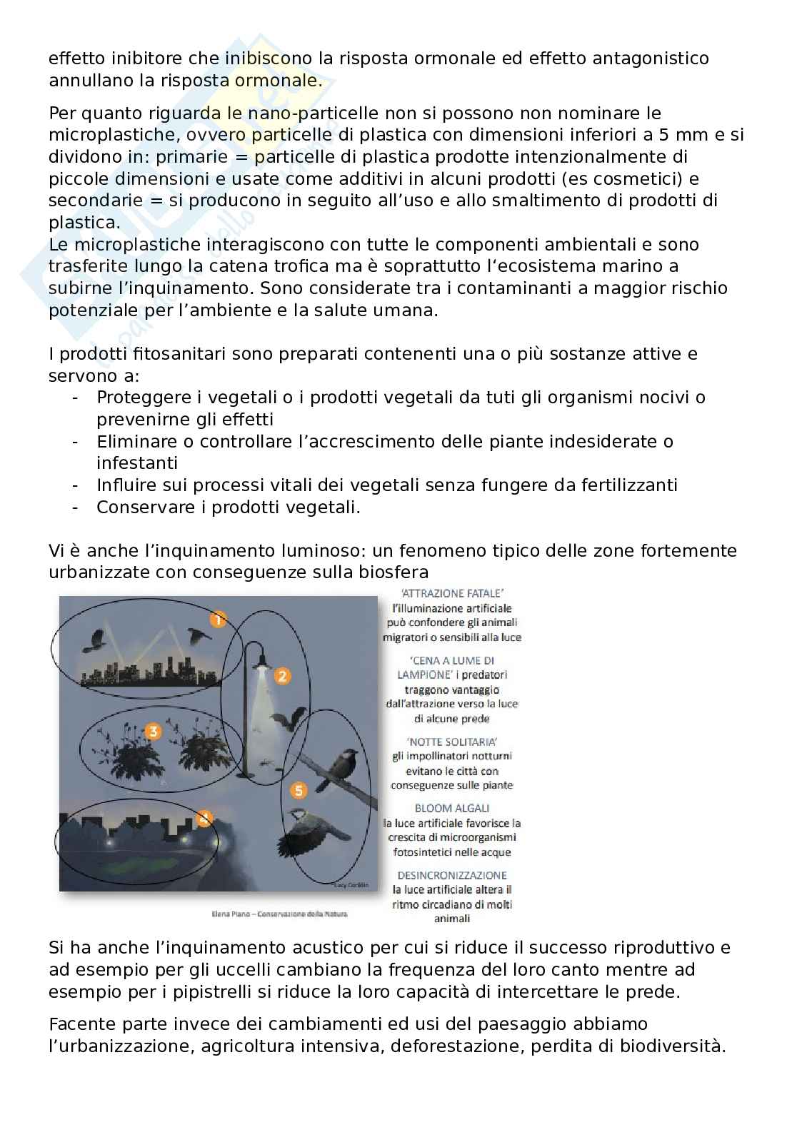 Modulo Conservazione Pag. 31