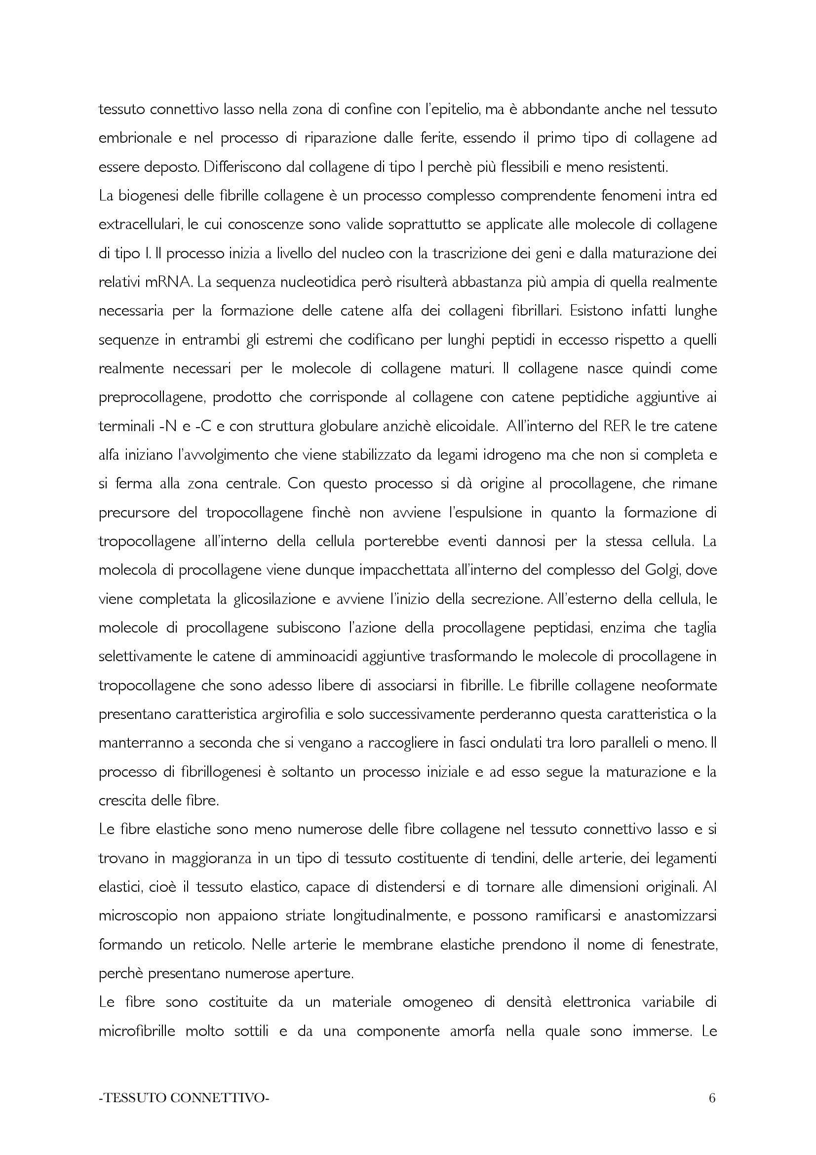 Istologia  ed embriologia - tessuto connettivo Pag. 6