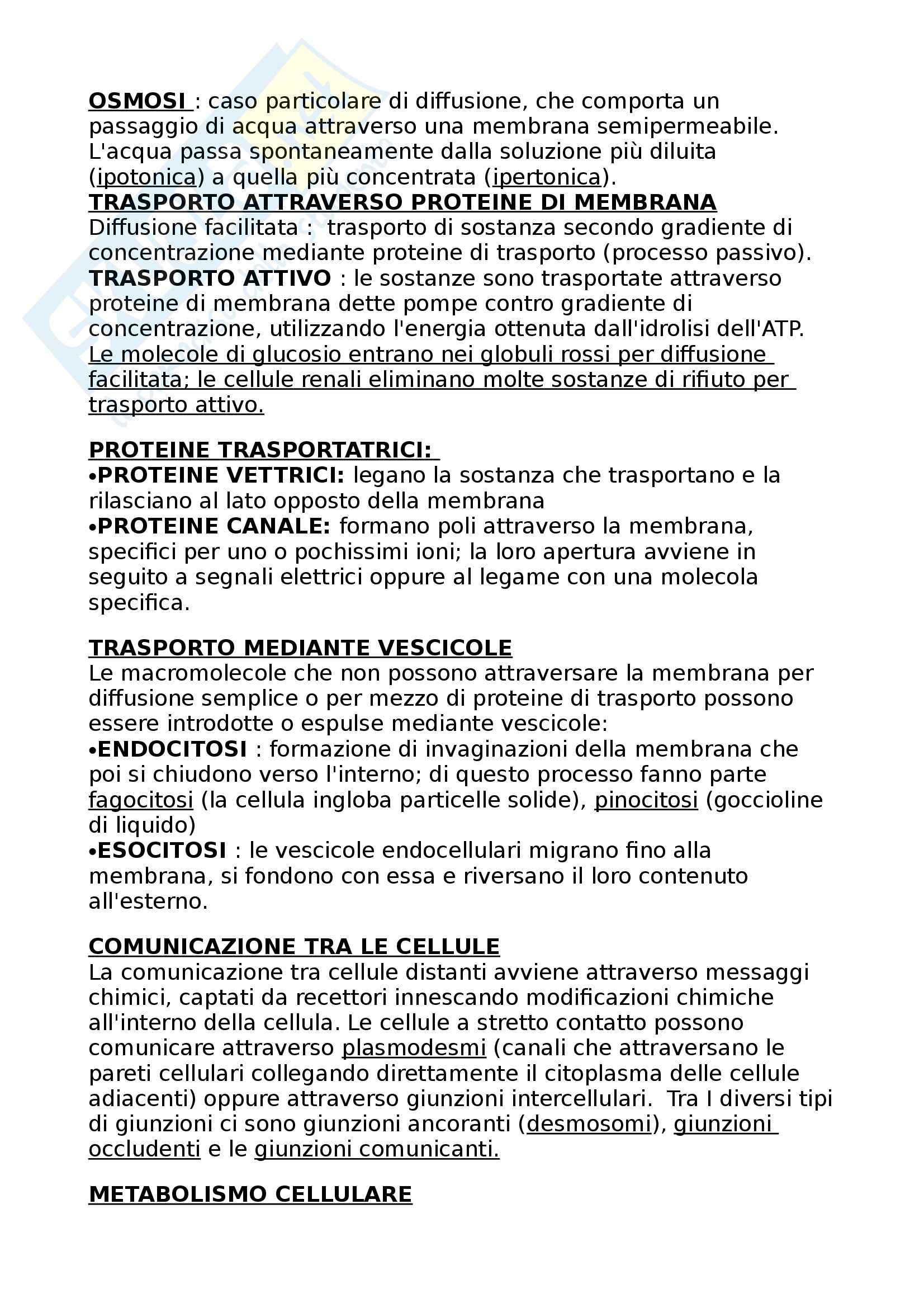 Biologia - Struttura della cellula e ereditarietà Pag. 2