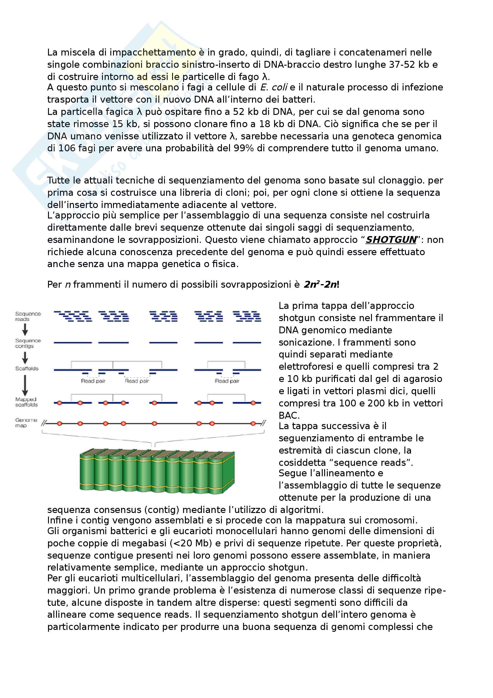 Sequenziamento del genoma Pag. 21