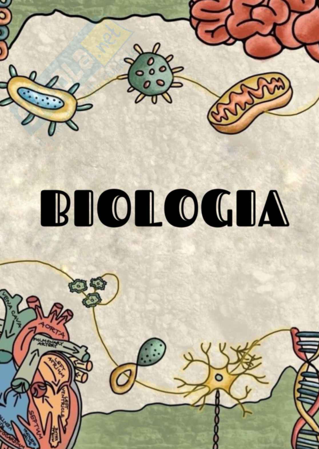 Biologia molecolare Pag. 1