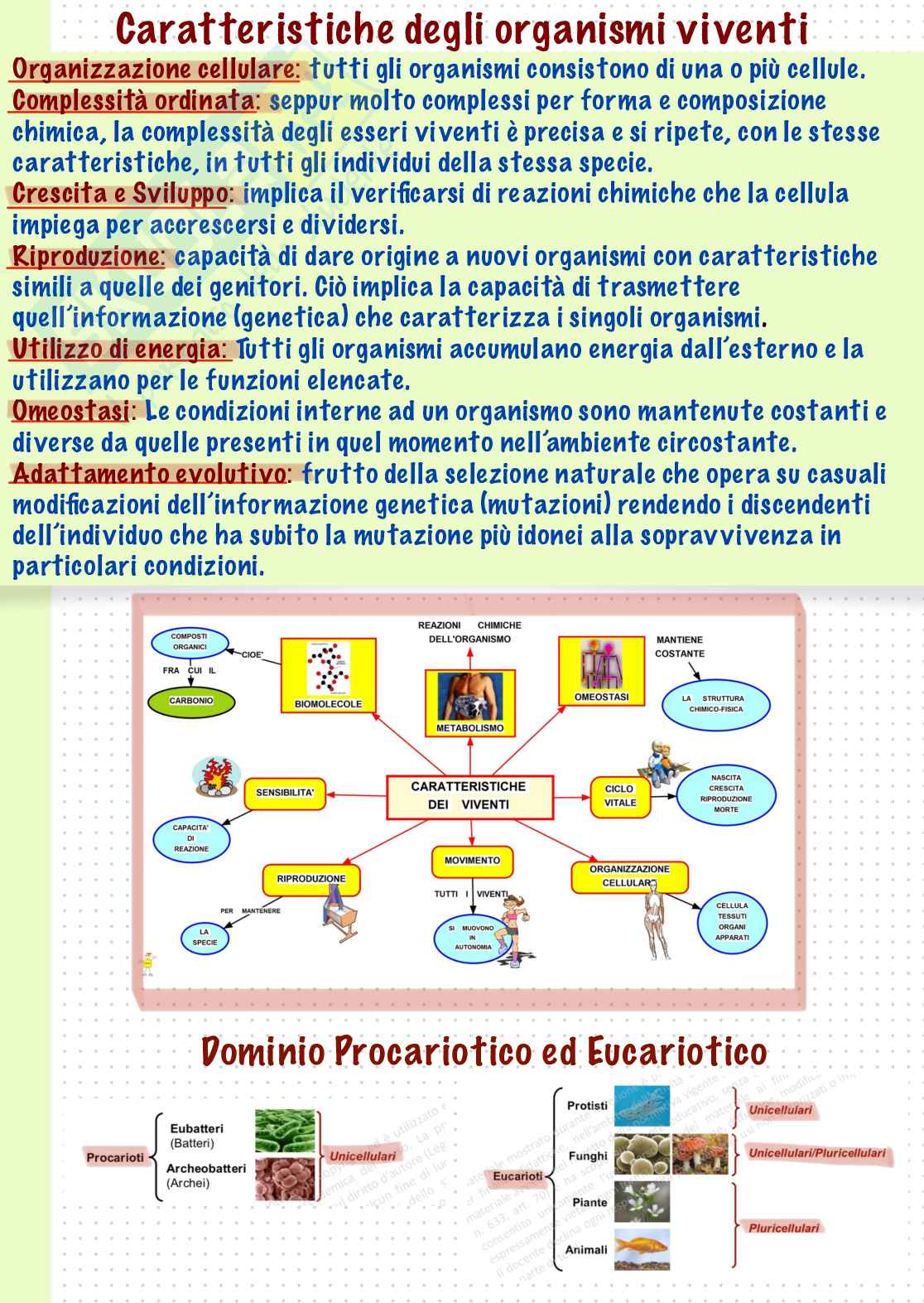 Biologia molecolare Pag. 2