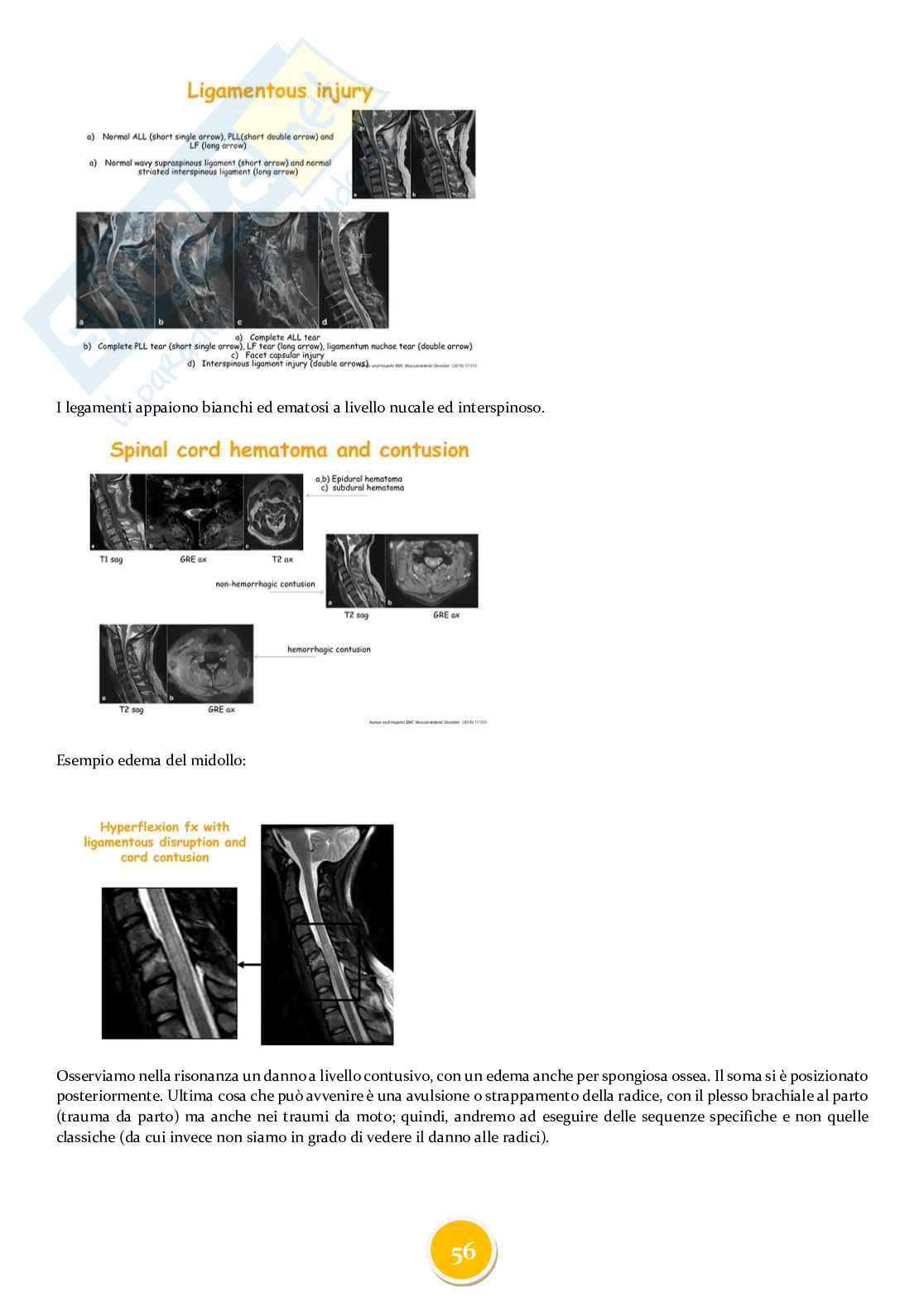 Diagnostica per immagini e radioterapia Pag. 56