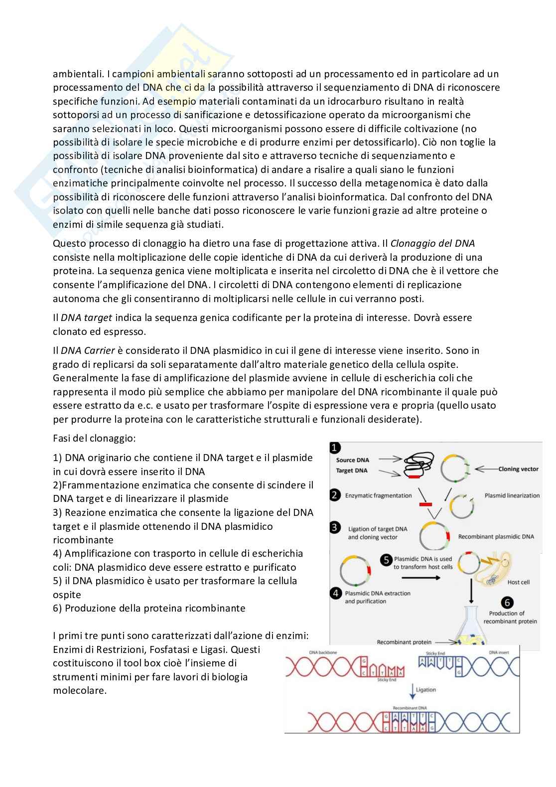 Introduzione tecniche laboratorio - Appunti Pag. 2
