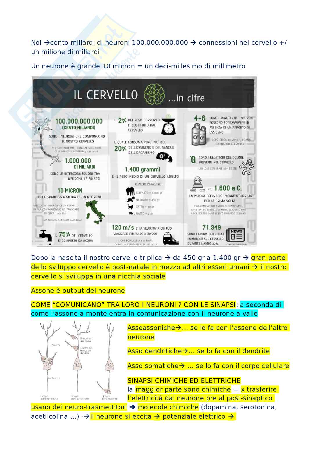 Riassunto esame Arti e neuroscienze cognitive, Prof. Gallese Vittorio, libro consigliato Lo shermo empatico, Guerra, Gallese Pag. 11