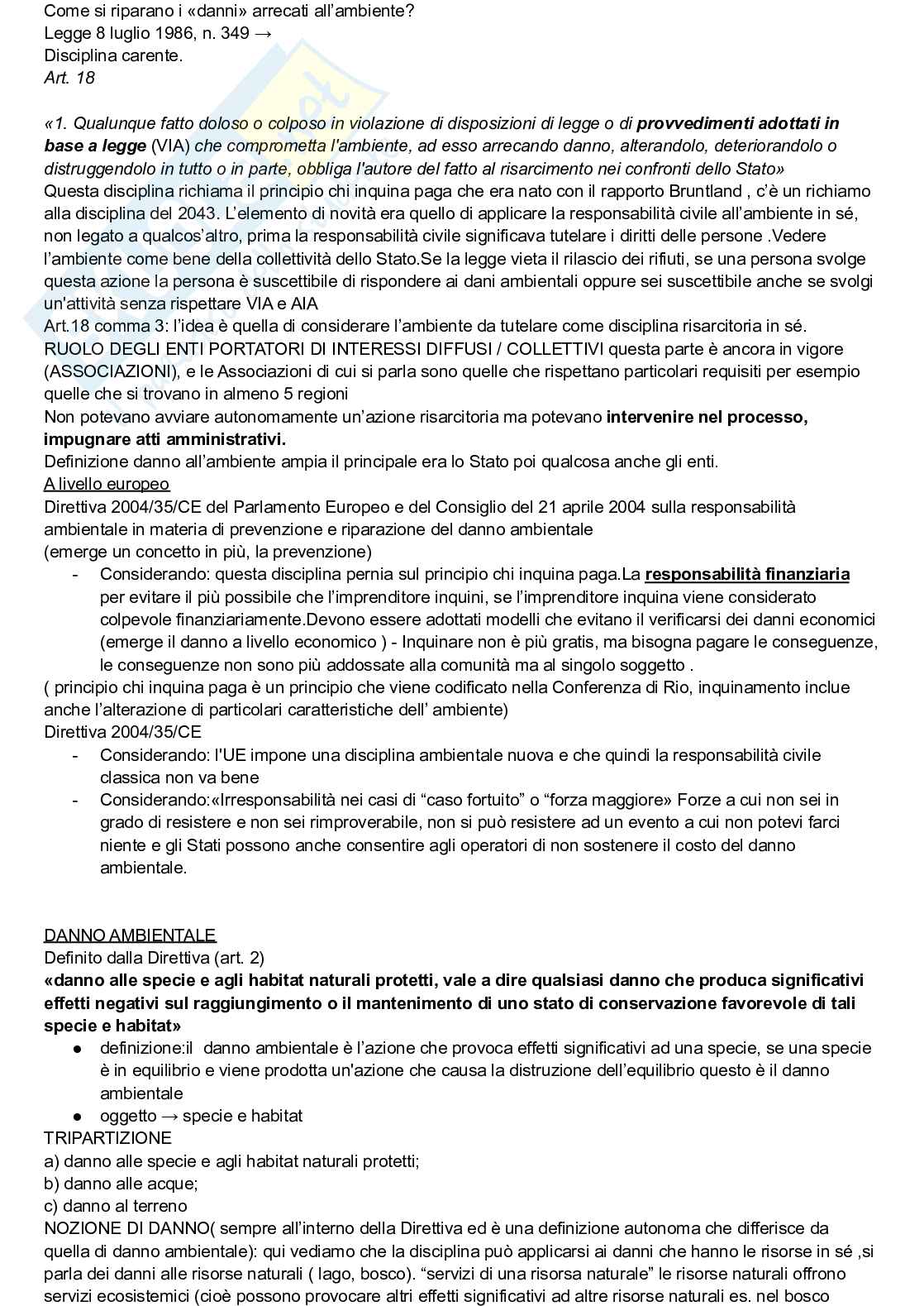 Diritto dell'ambiente - esame completo Pag. 26