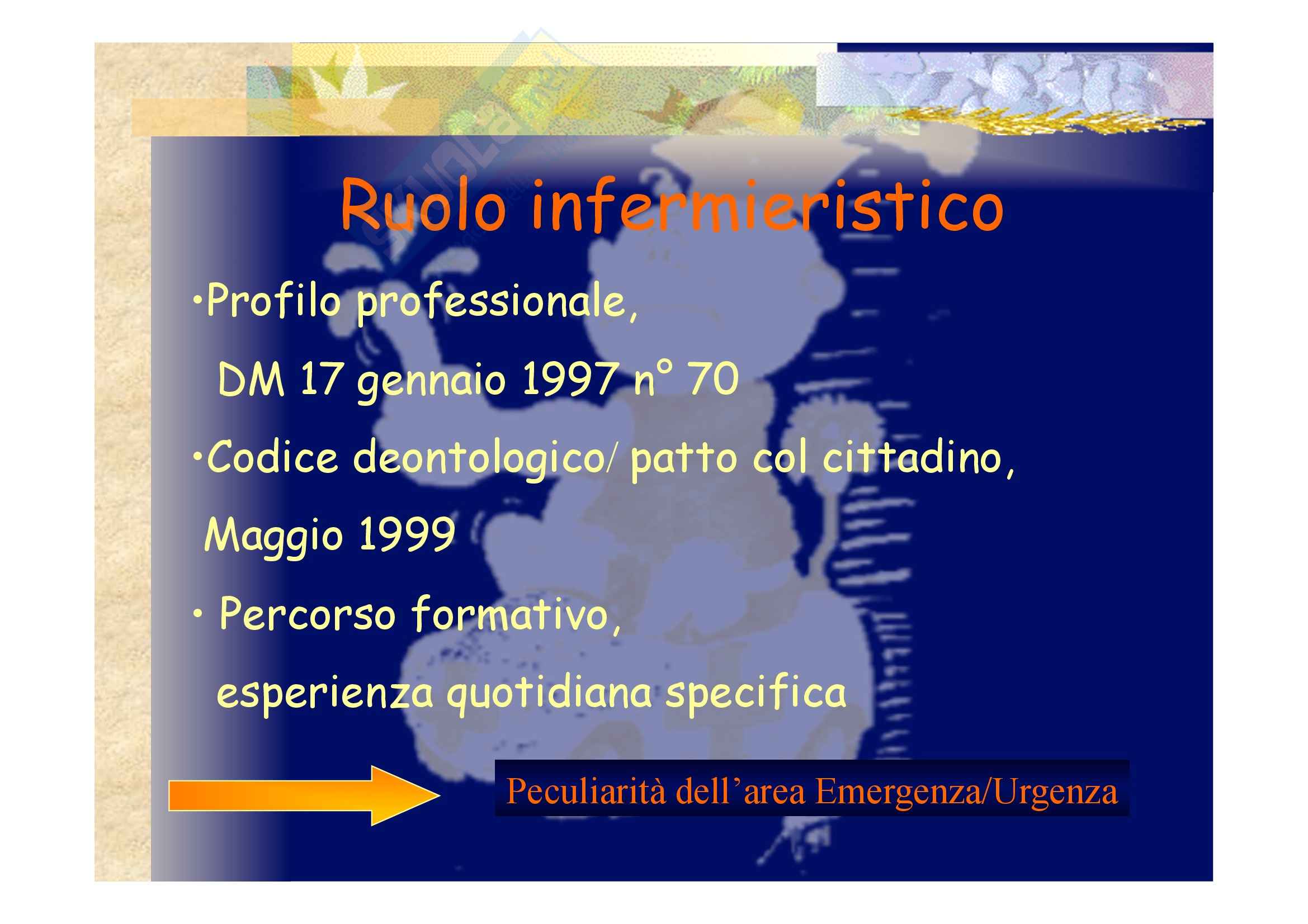 Scienza infermieristica - la cartella infermieristica Pag. 2
