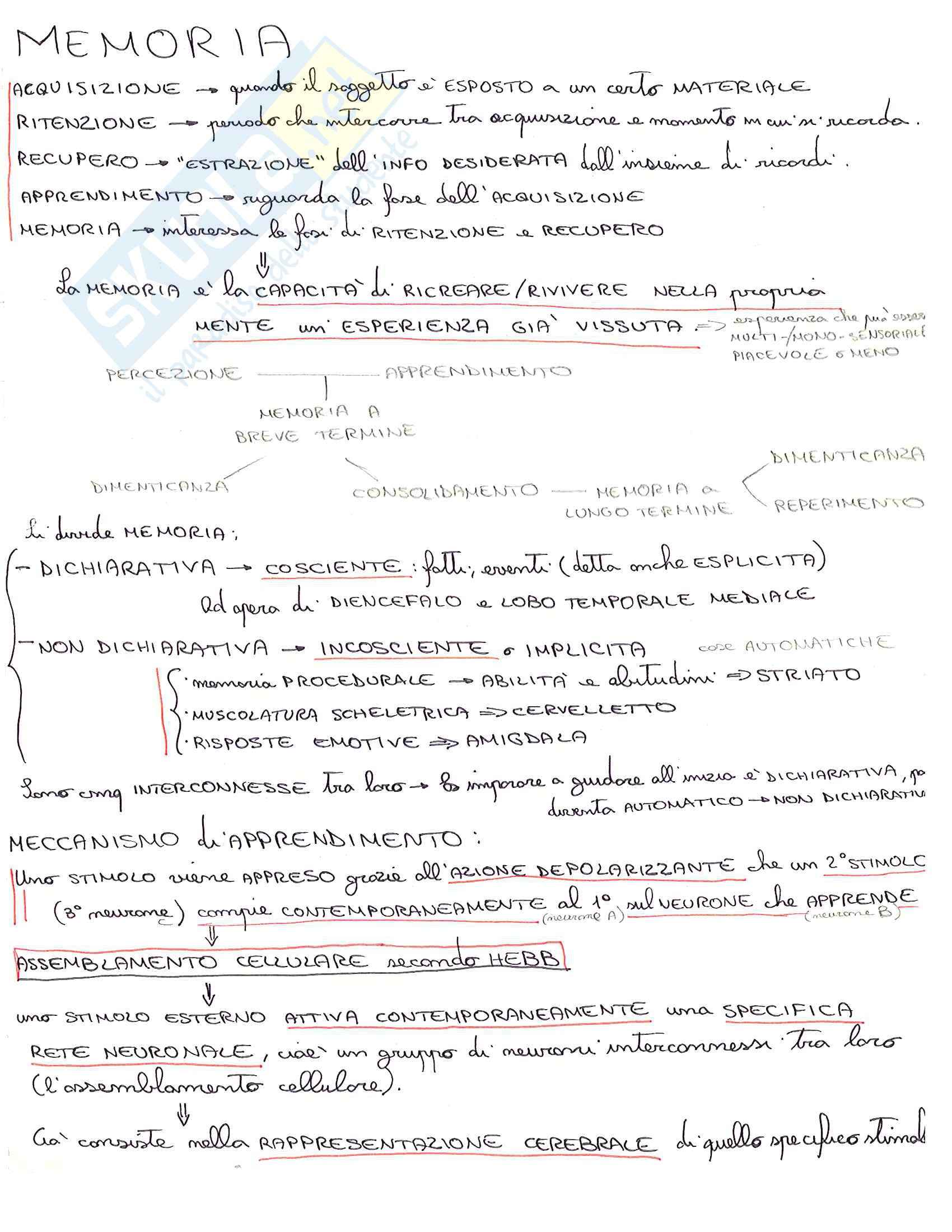 Lezioni, Biochimica fisiologica e patologica Pag. 16