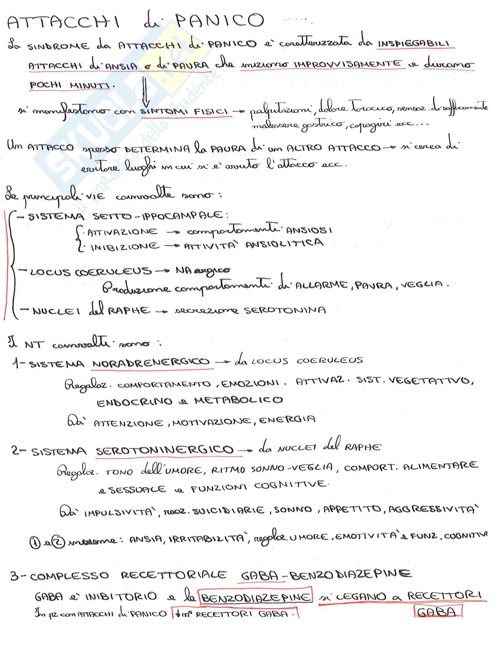 Lezioni, Biochimica fisiologica e patologica Pag. 26