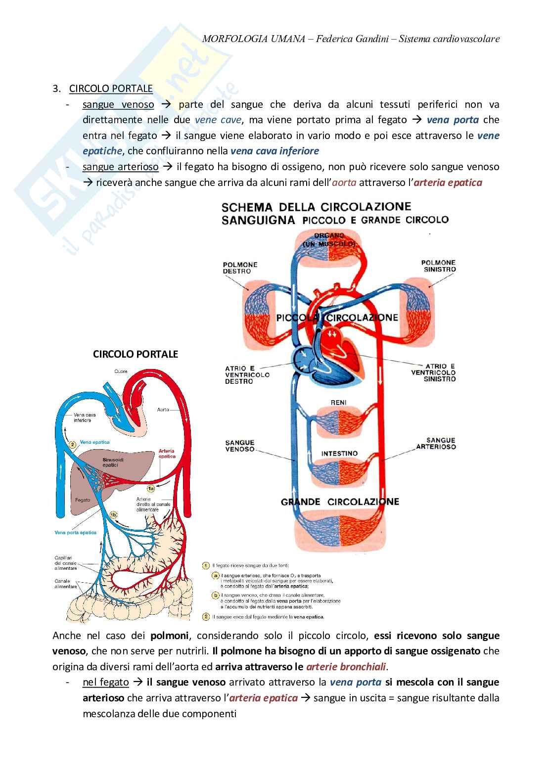 Sistema cardiovascolare Pag. 2