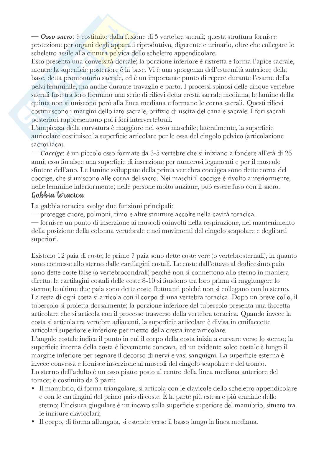Riassunto esame Anatomia , Prof. Bandiera Pasquale, libro consigliato Anatomia, Martini Pag. 11