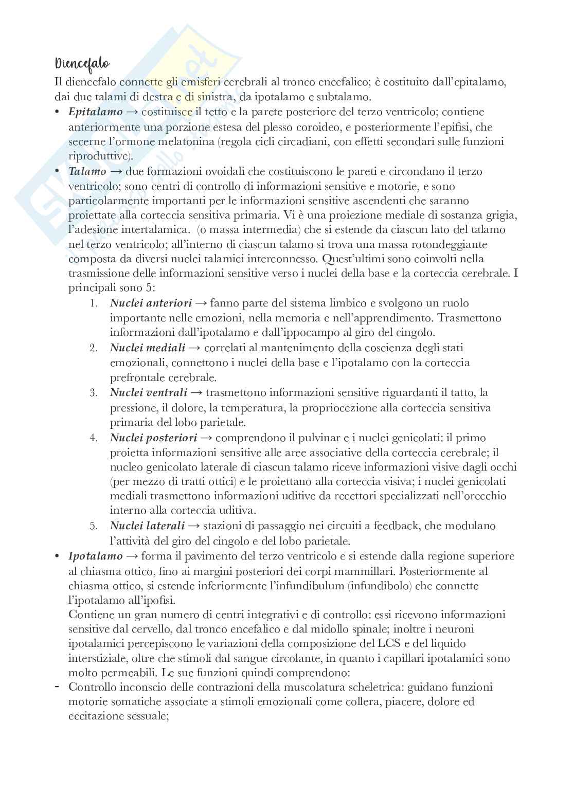 Riassunto esame Anatomia , Prof. Bandiera Pasquale, libro consigliato Anatomia, Martini Pag. 46