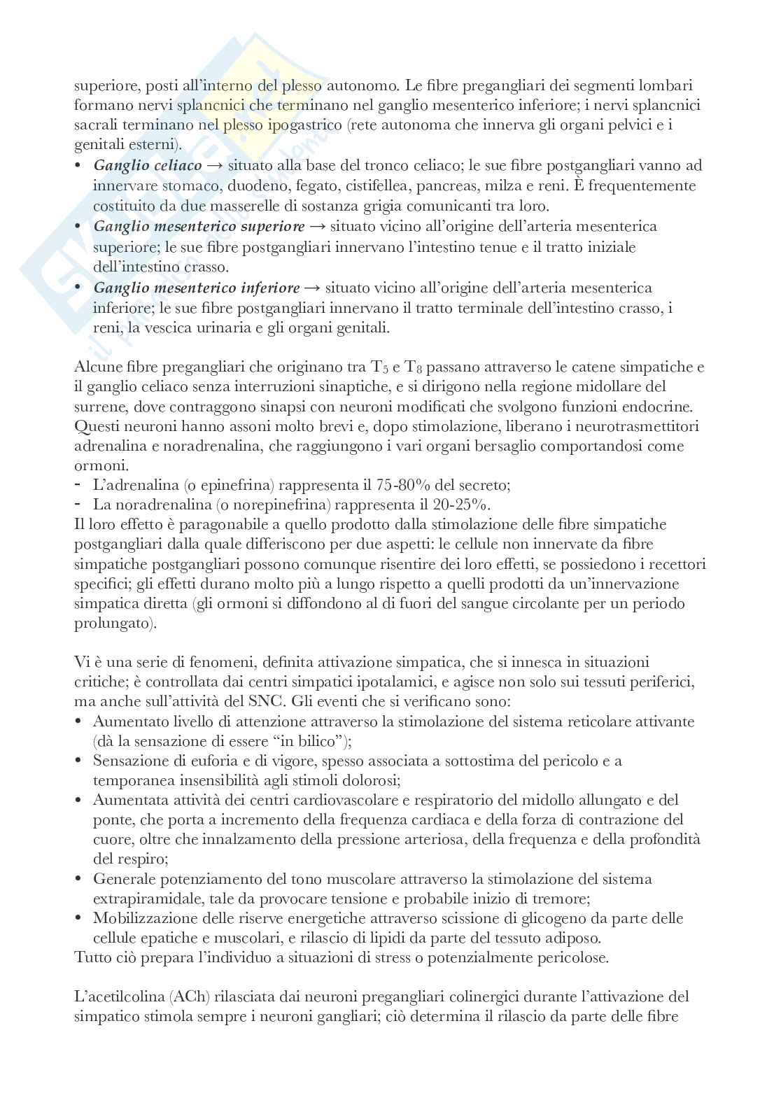 Riassunto esame Anatomia , Prof. Bandiera Pasquale, libro consigliato Anatomia, Martini Pag. 56