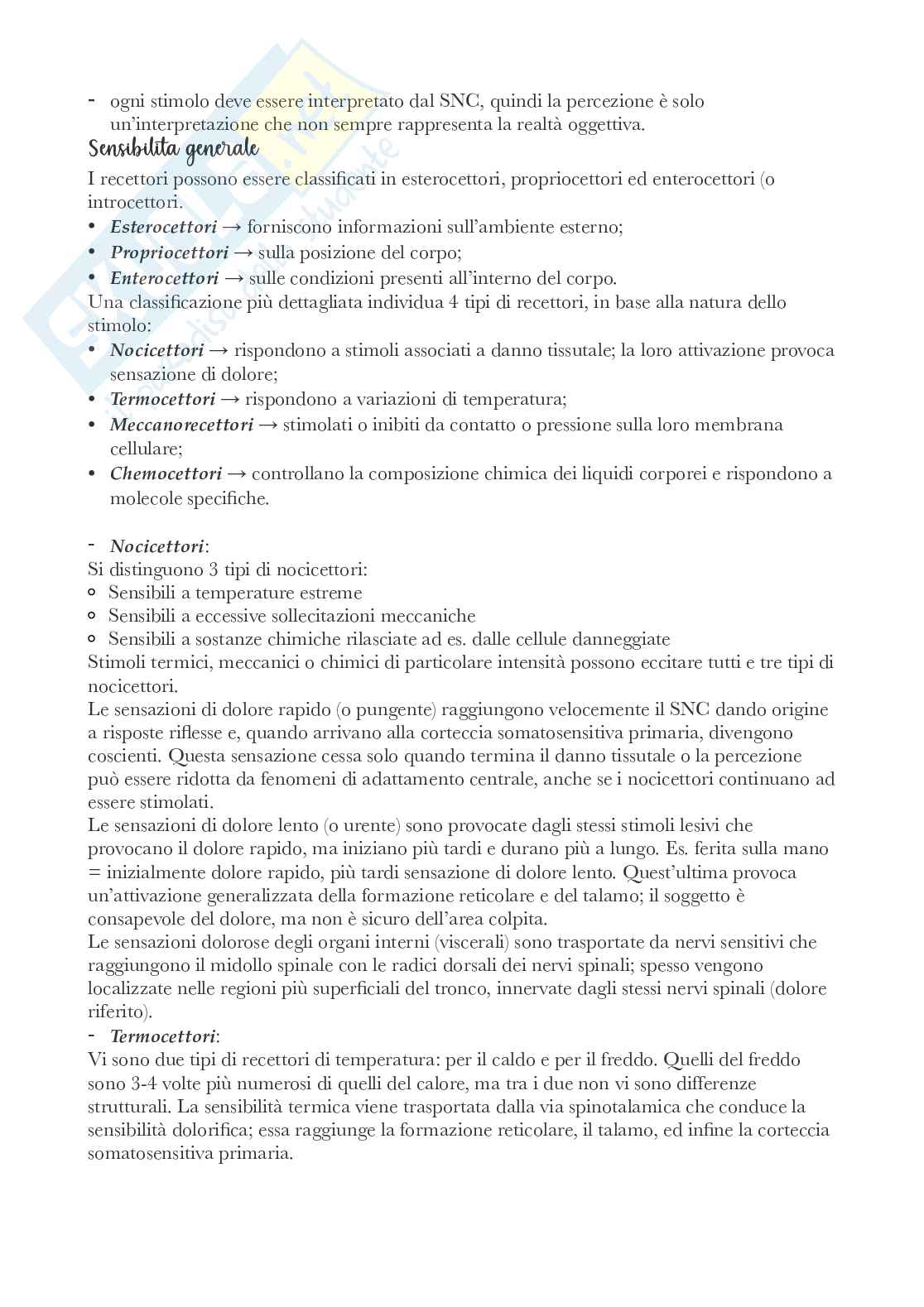 Riassunto esame Anatomia , Prof. Bandiera Pasquale, libro consigliato Anatomia, Martini Pag. 61