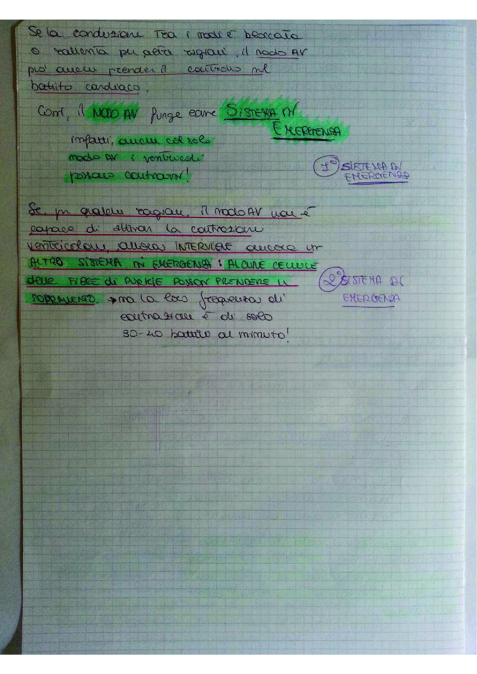 Riassunto esame Fisiologia umana, prof. D'Ascanio, libro consigliato Fisiologia, Stanfield, Germann Pag. 41