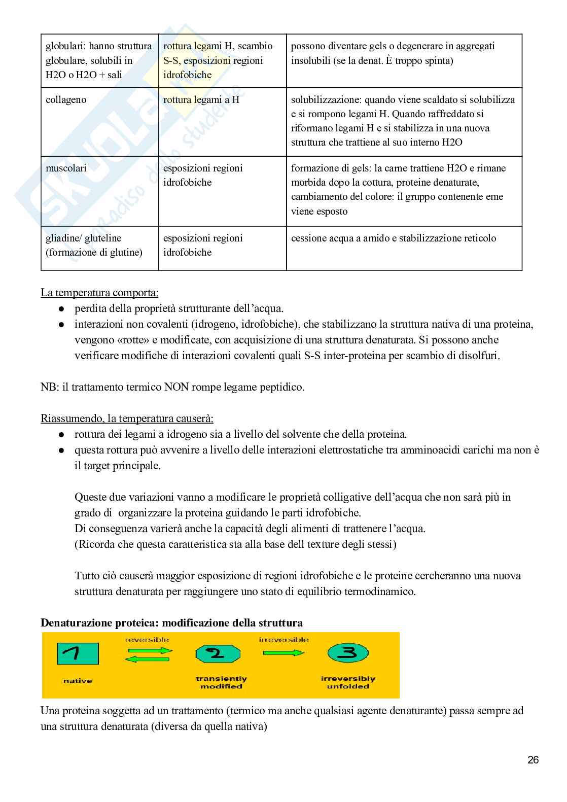Biochimica alimentare Pag. 26