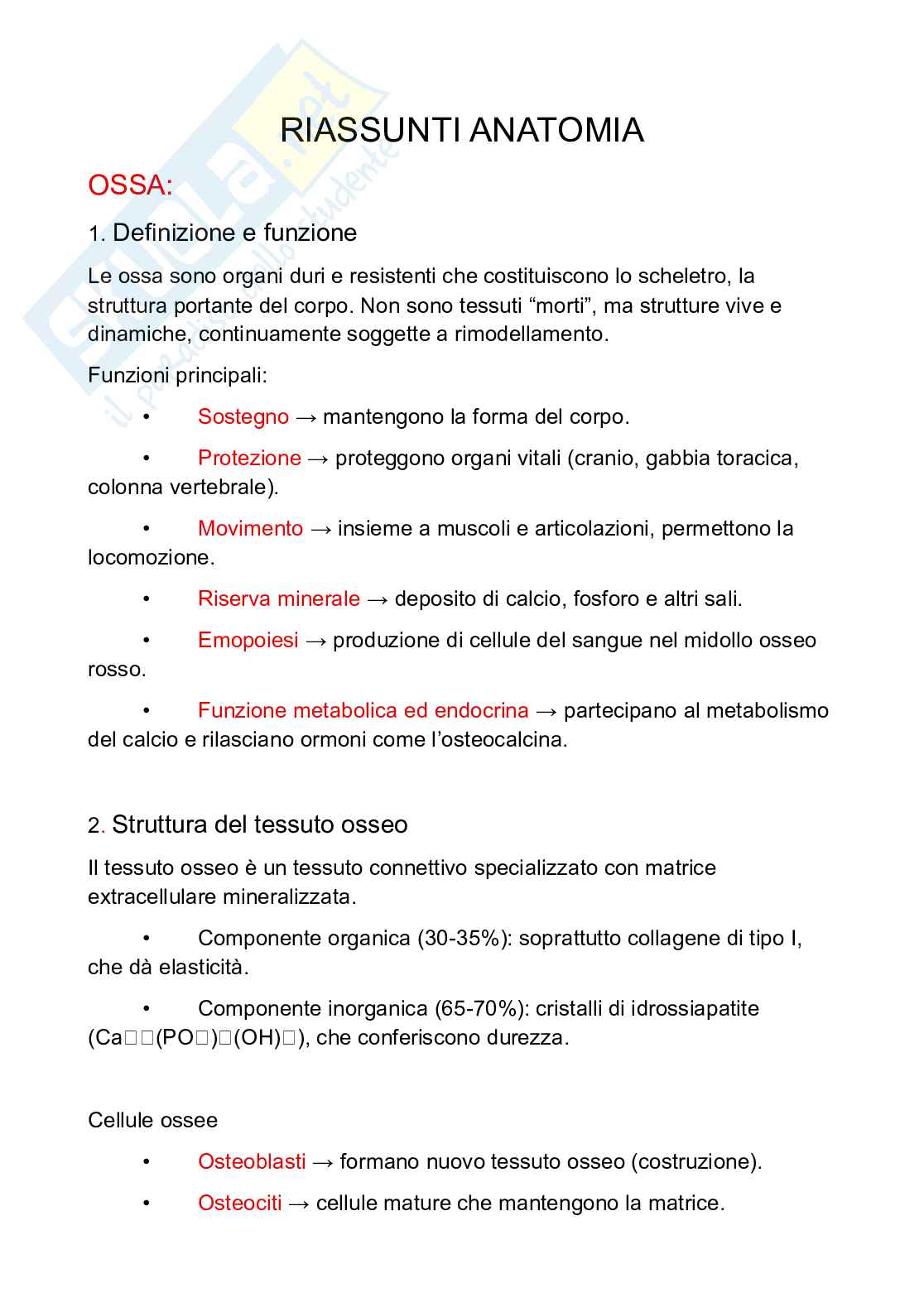 Appunti Anatomia umana Pag. 1