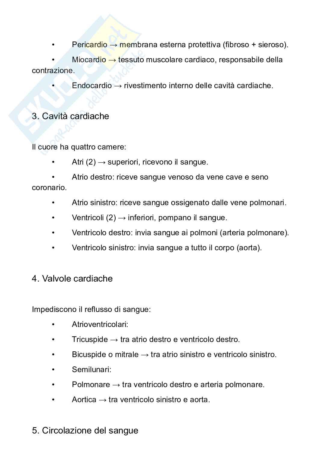 Appunti Anatomia umana Pag. 11