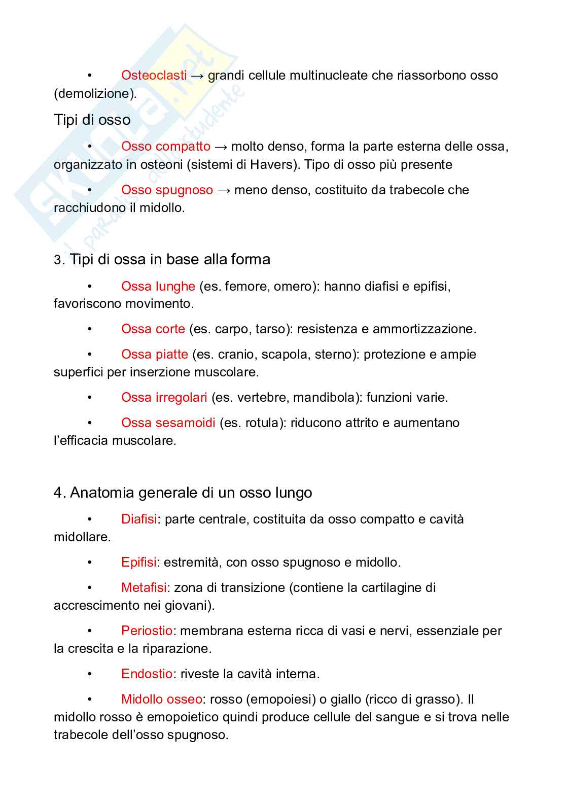Appunti Anatomia umana Pag. 2