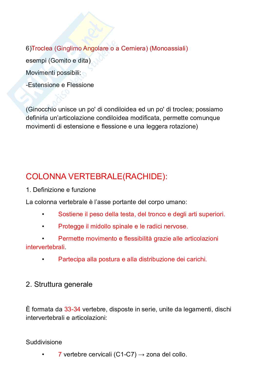 Appunti Anatomia umana Pag. 6