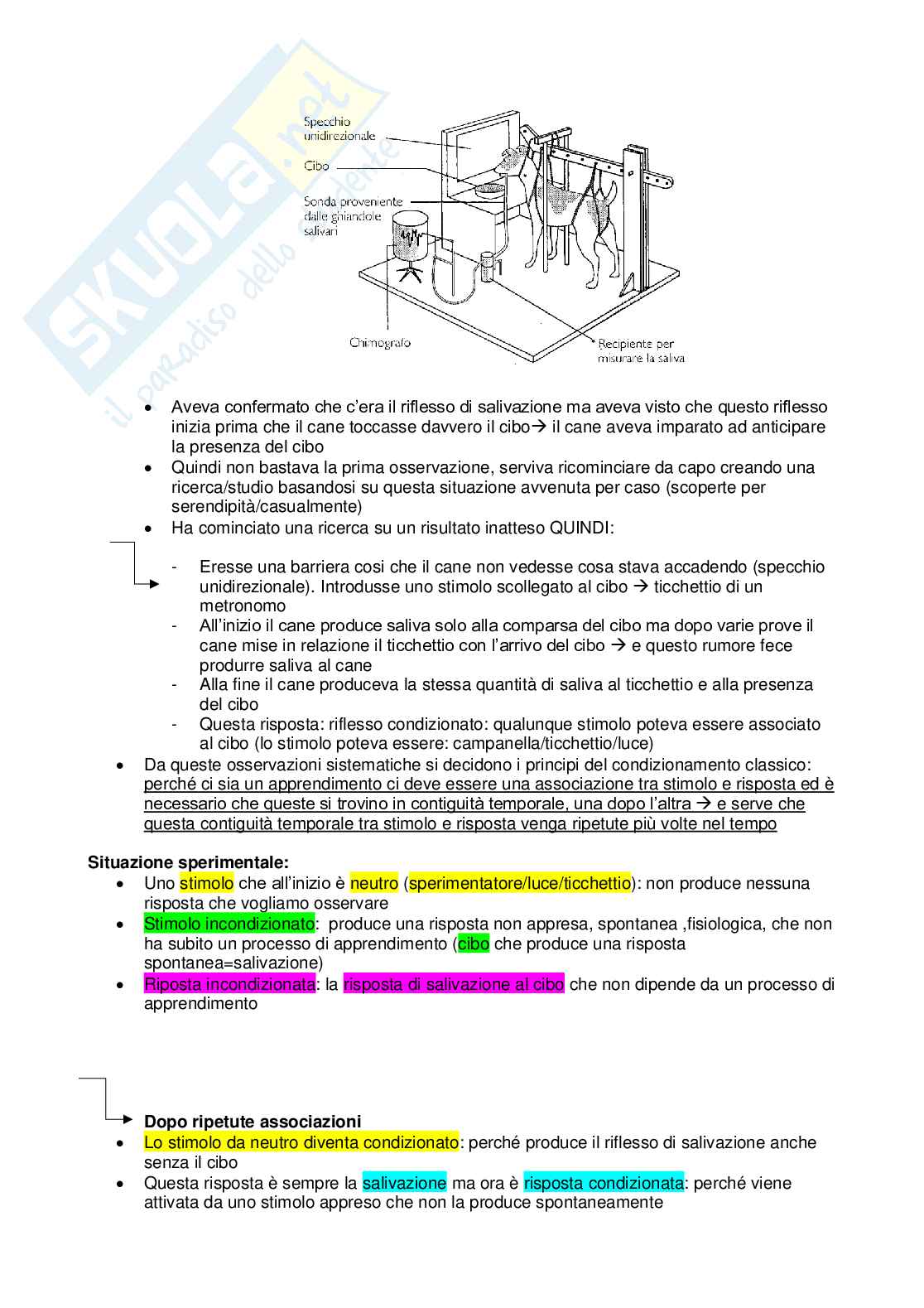 Psicologia generale (modulo A&B) Pag. 31