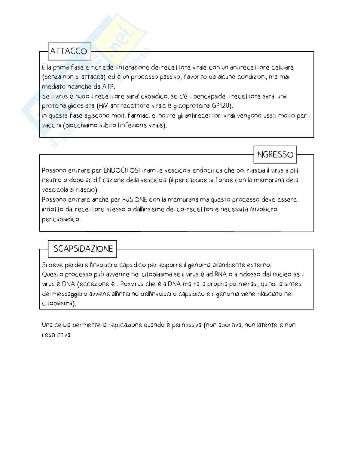 Appunti Microbiologia   Pag. 31