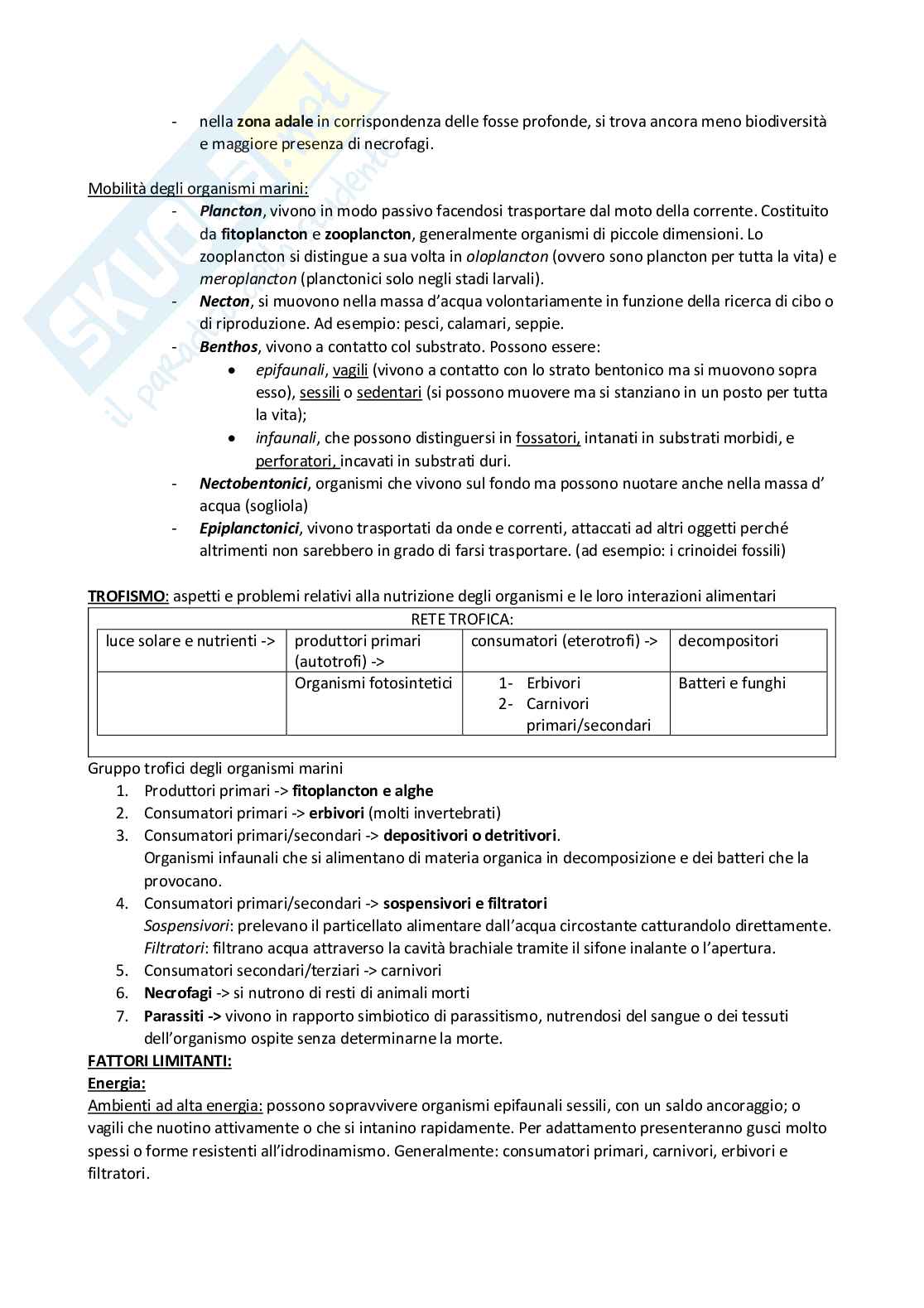 Appunti di Paleontologia generale Pag. 2