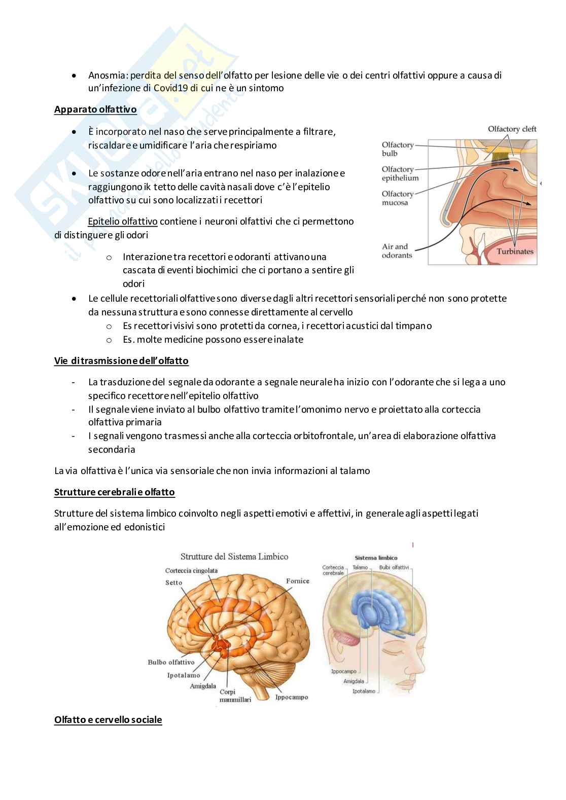 Corso Psicologia generale 1 Pag. 36