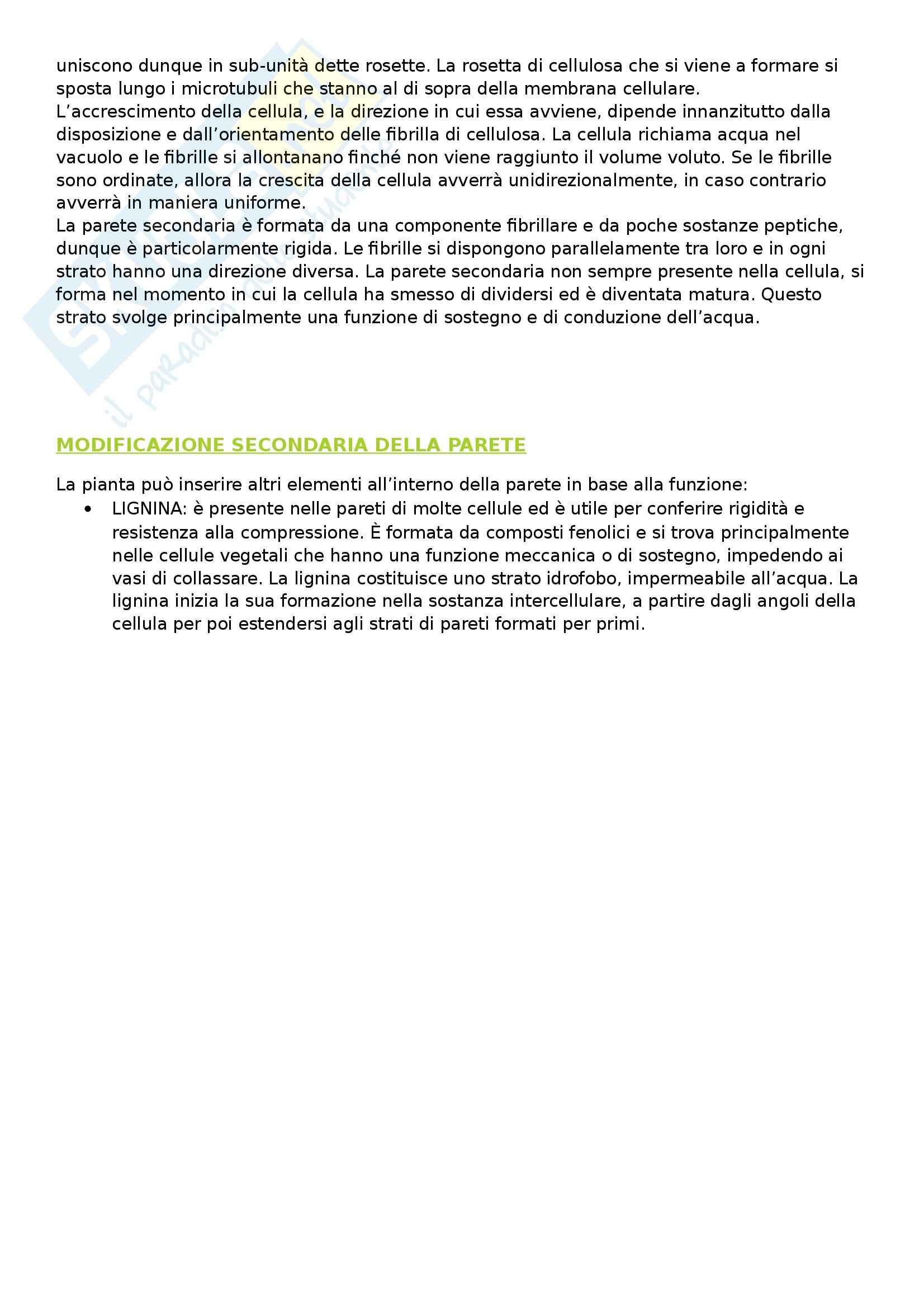 Biologia vegetale - Appunti Pag. 11