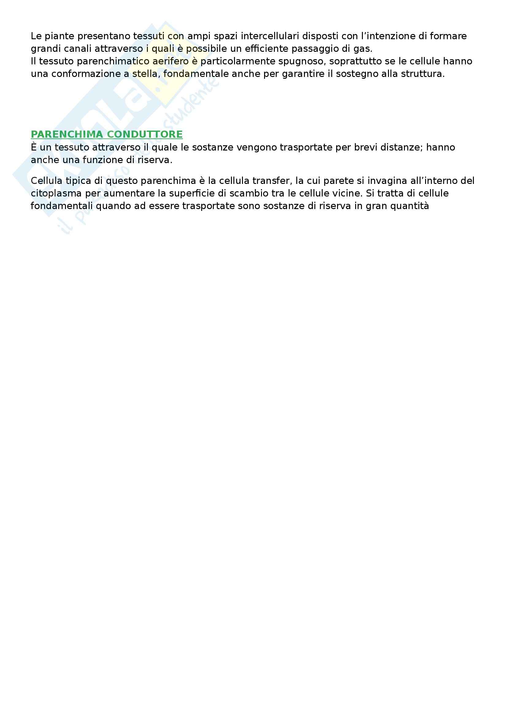 Biologia vegetale - Appunti Pag. 21
