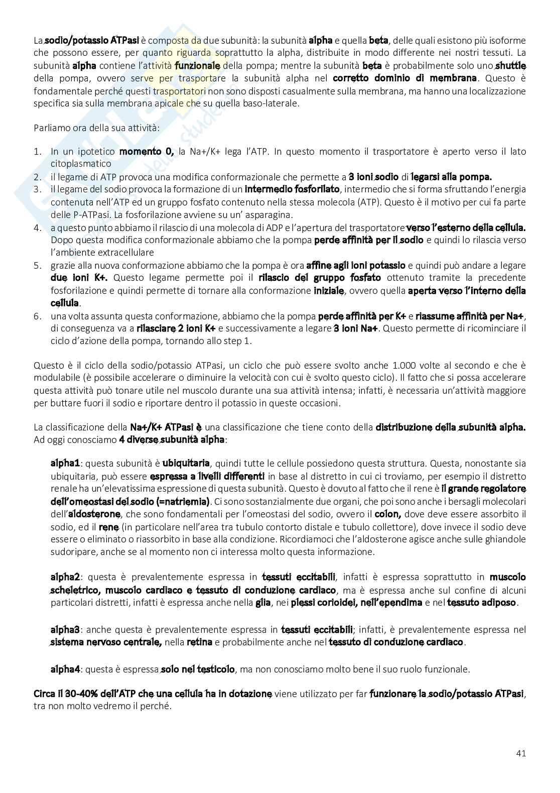 Appunti di Farmacologia medica Pag. 41