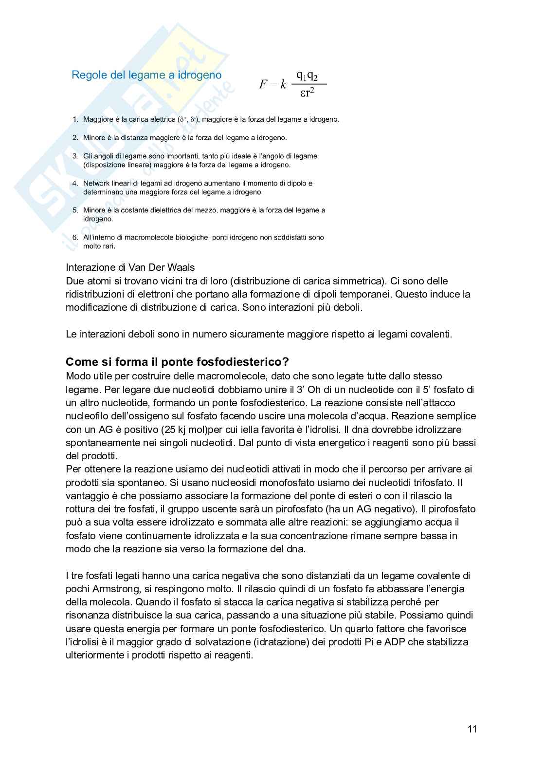 Biologia molecolare Pag. 11