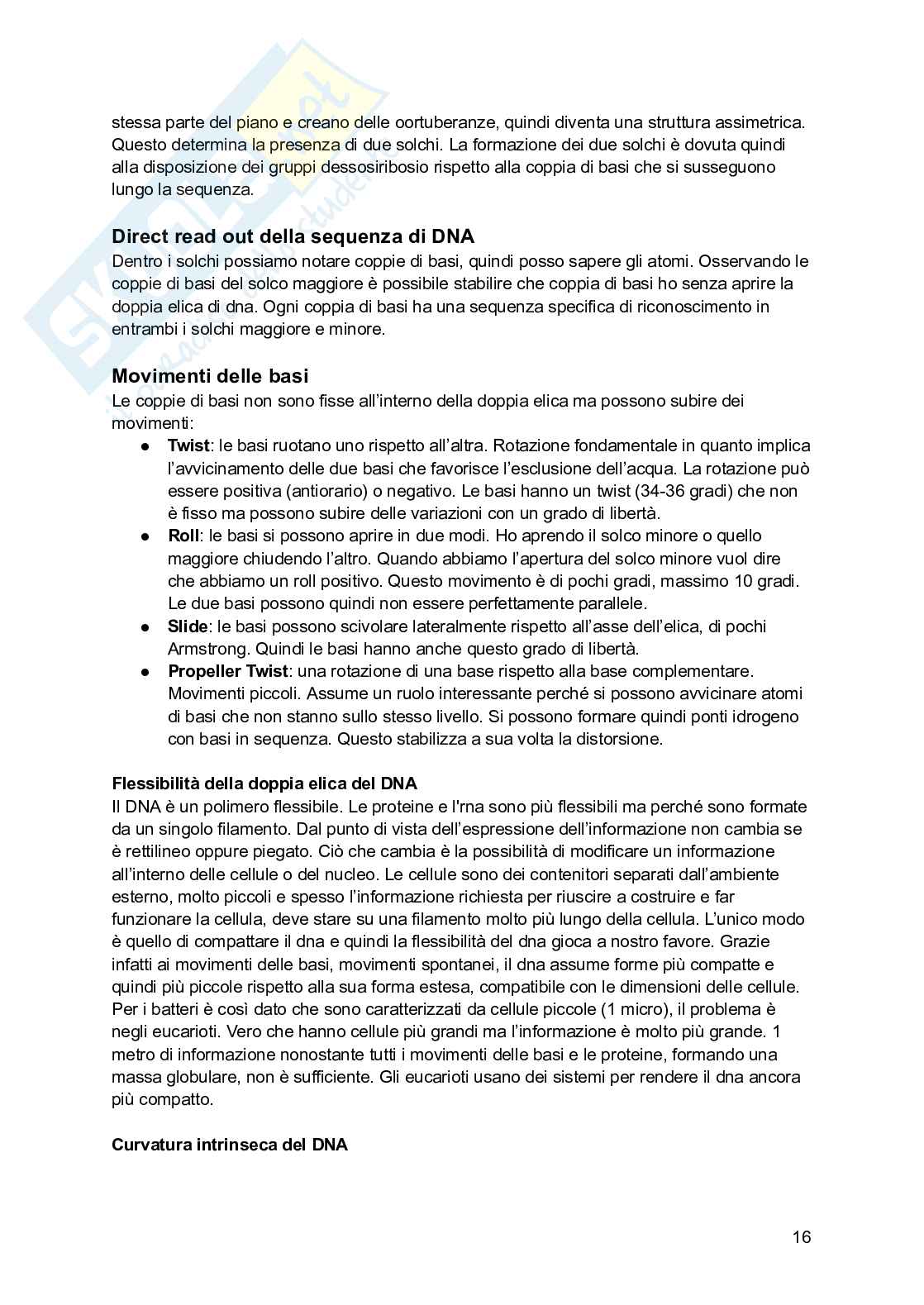 Biologia molecolare Pag. 16
