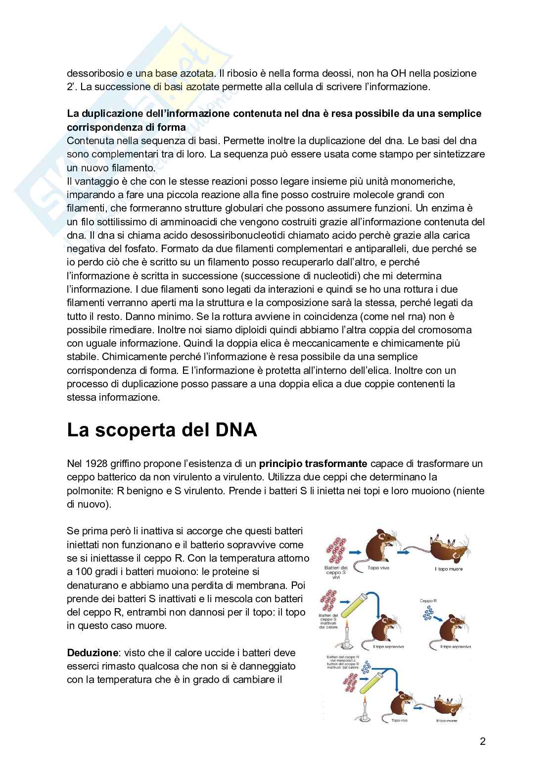 Biologia molecolare Pag. 2