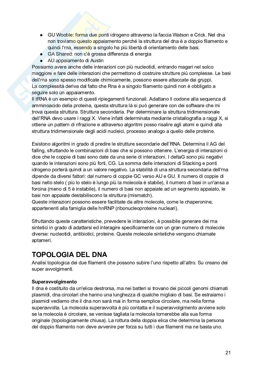 Biologia molecolare Pag. 21