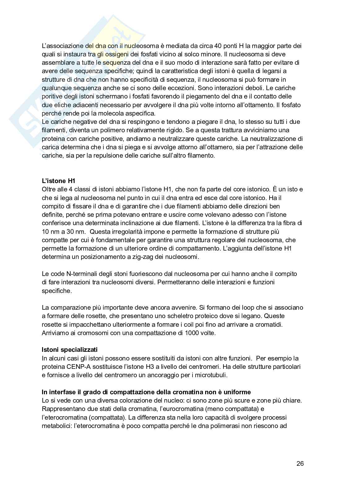 Biologia molecolare Pag. 26
