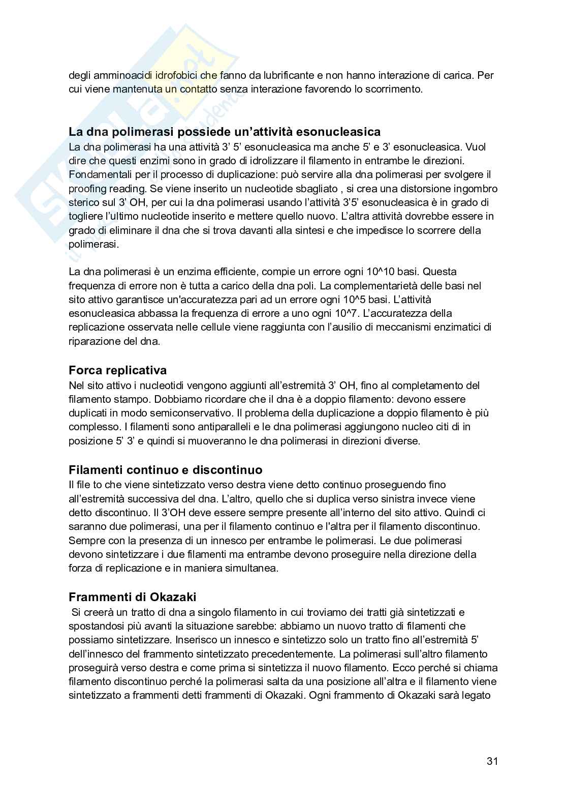 Biologia molecolare Pag. 31