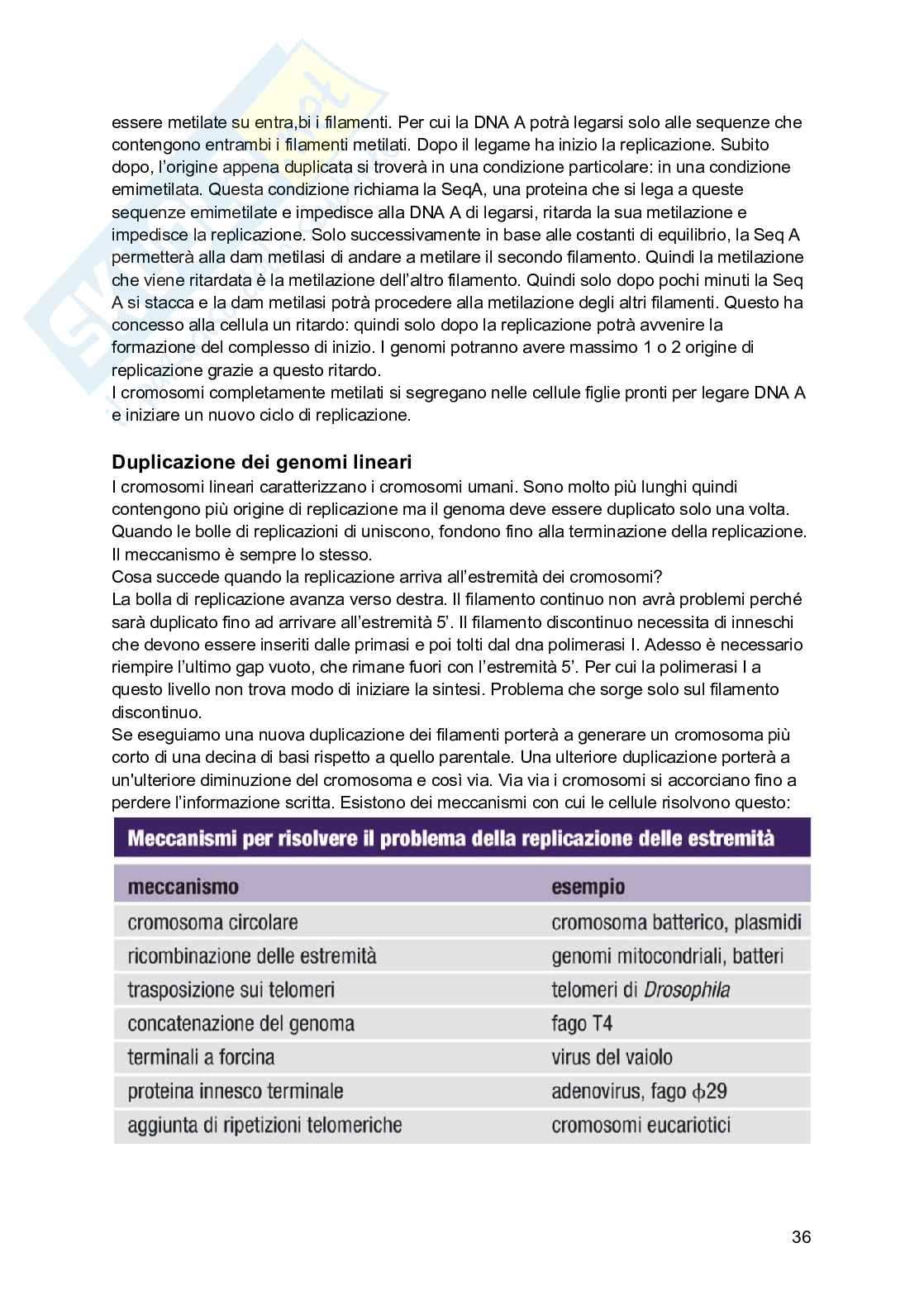 Biologia molecolare Pag. 36