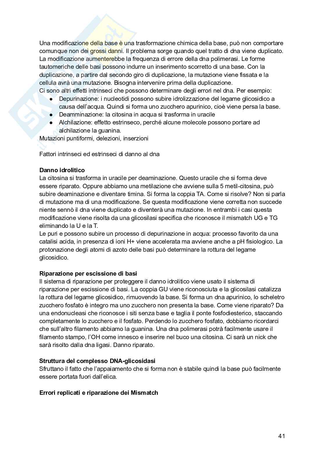 Biologia molecolare Pag. 41
