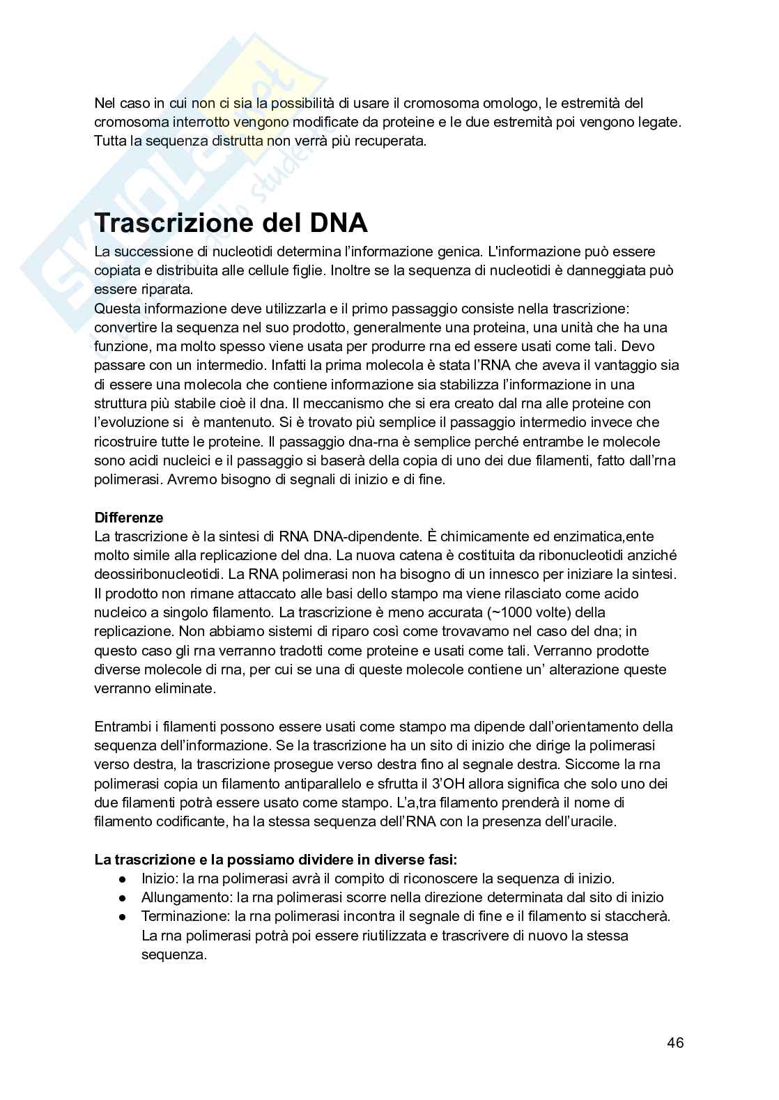 Biologia molecolare Pag. 46