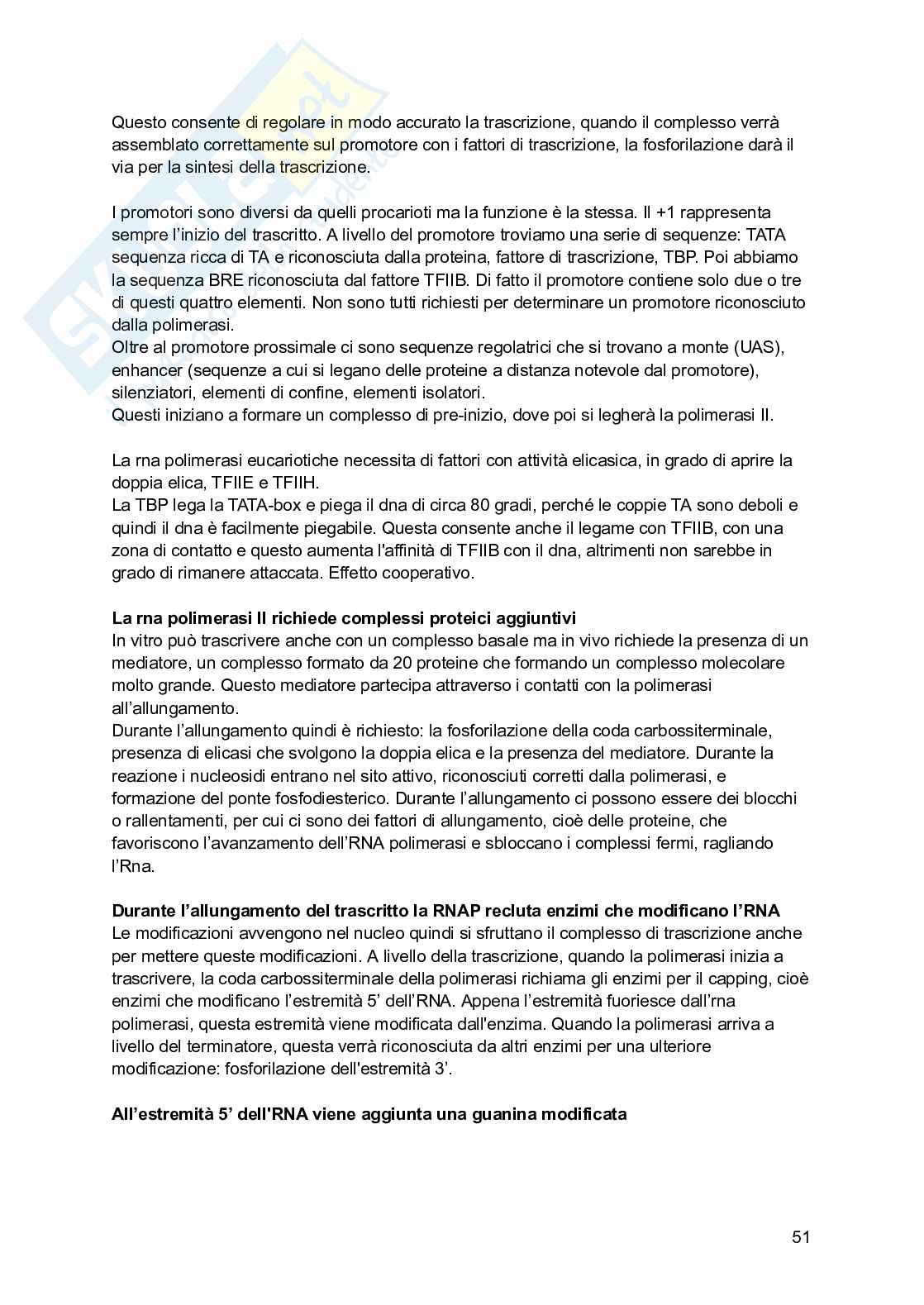 Biologia molecolare Pag. 51