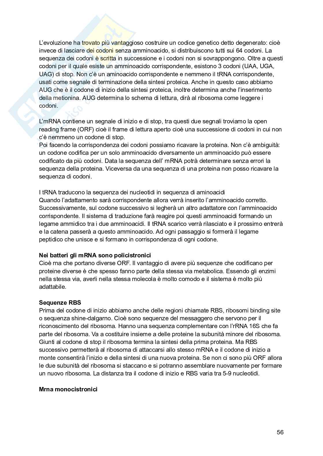 Biologia molecolare Pag. 56
