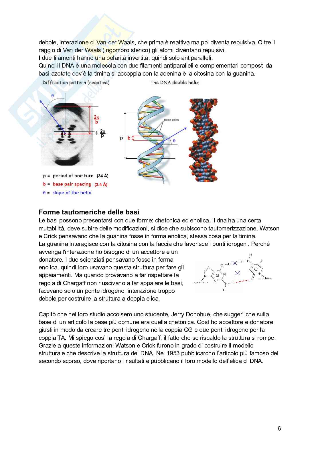 Biologia molecolare Pag. 6