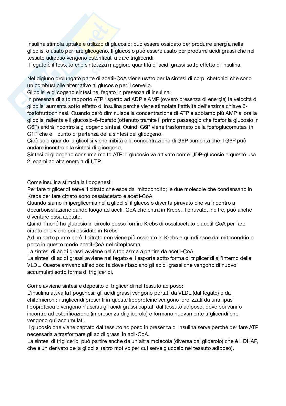 Malattie metaboliche Pag. 2