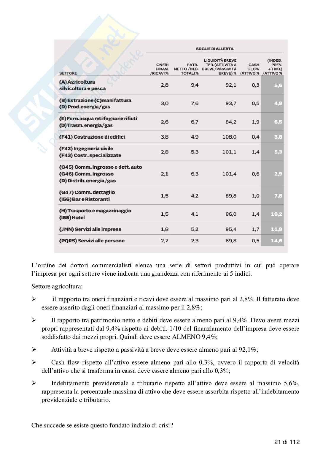 Diritto della crisi d'impresa Pag. 21