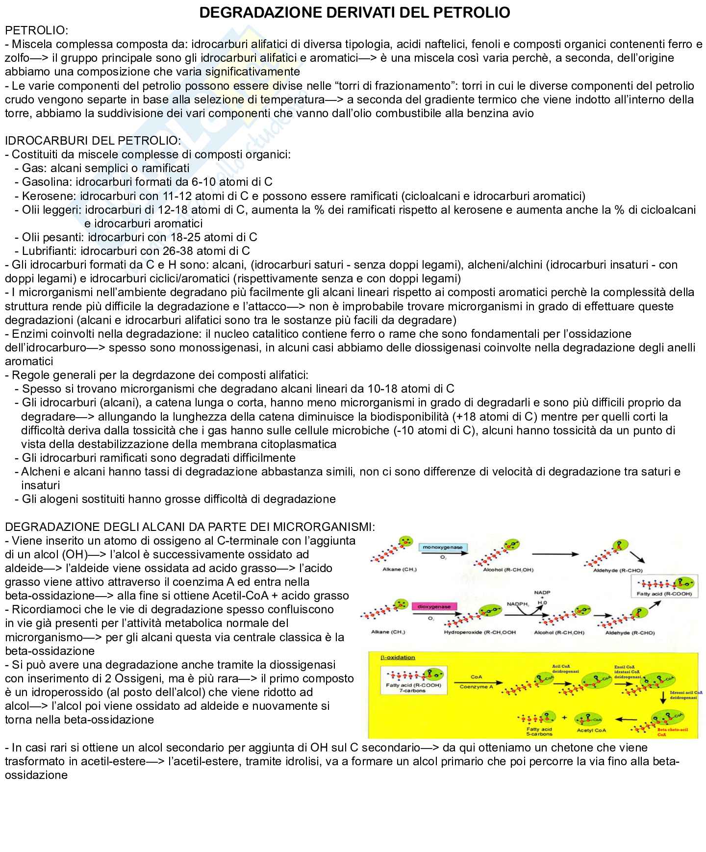 Appunti esame Biotecnologie microbiche  Pag. 11