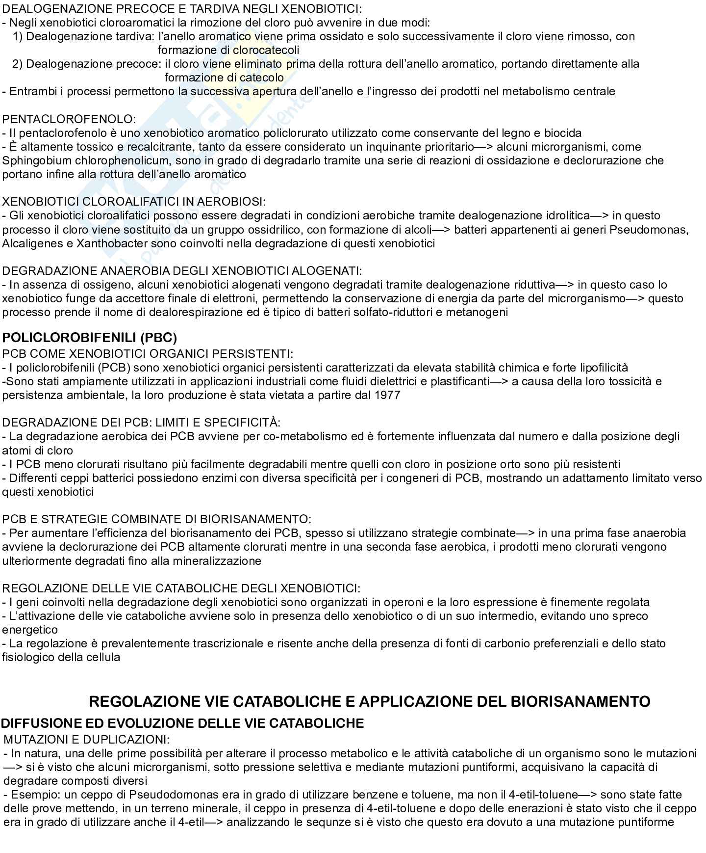 Appunti esame Biotecnologie microbiche  Pag. 16