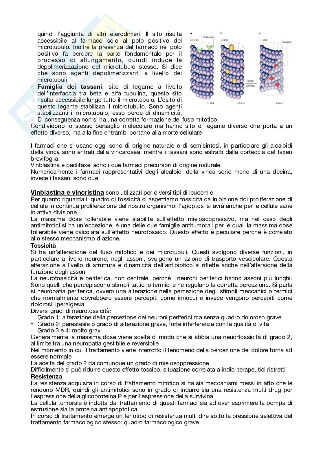 Appunti Farmacologia Pag. 61